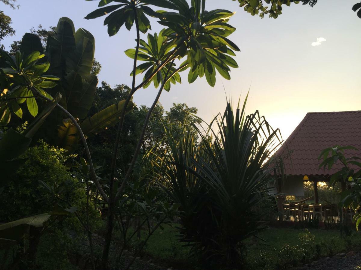 Naturalmente Boutique Bungalows Y Cocina Mediterranea Las Lajas  Exterior foto