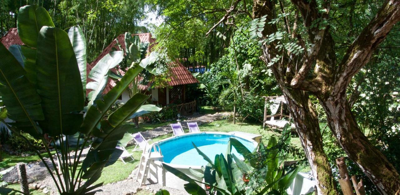 Naturalmente Boutique Bungalows Y Cocina Mediterranea Las Lajas  Exterior foto