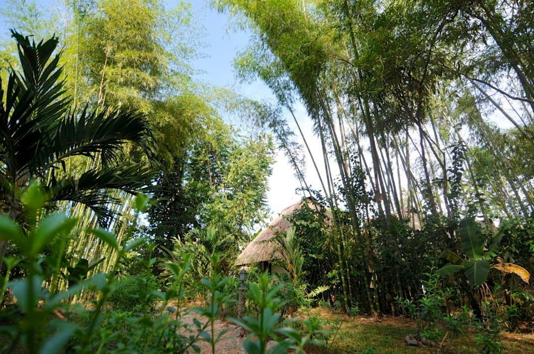 Naturalmente Boutique Bungalows Y Cocina Mediterranea Las Lajas  Exterior foto